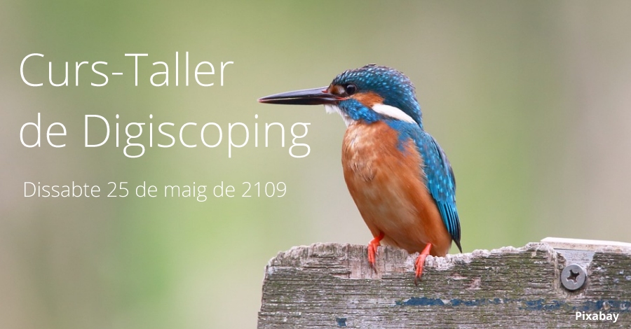 Curs-Taller de Digiscoping Curs-Taller de Digiscoping