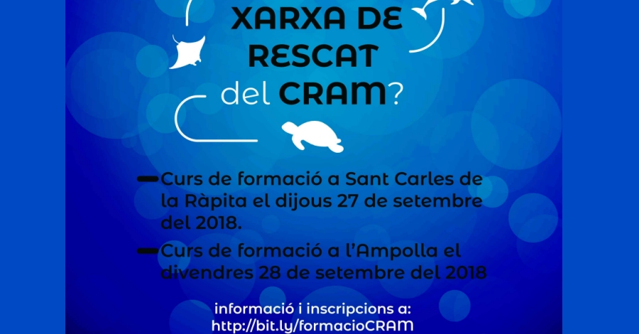 Curs de formaci�n de la Xarxa de Rescat del CRAM