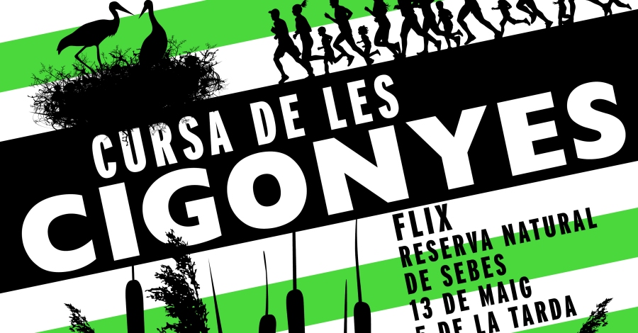 IV Carrera de las Cig�e�as
