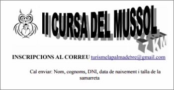 II Cursa del Mussol a la Palma d&rsquo;Ebre