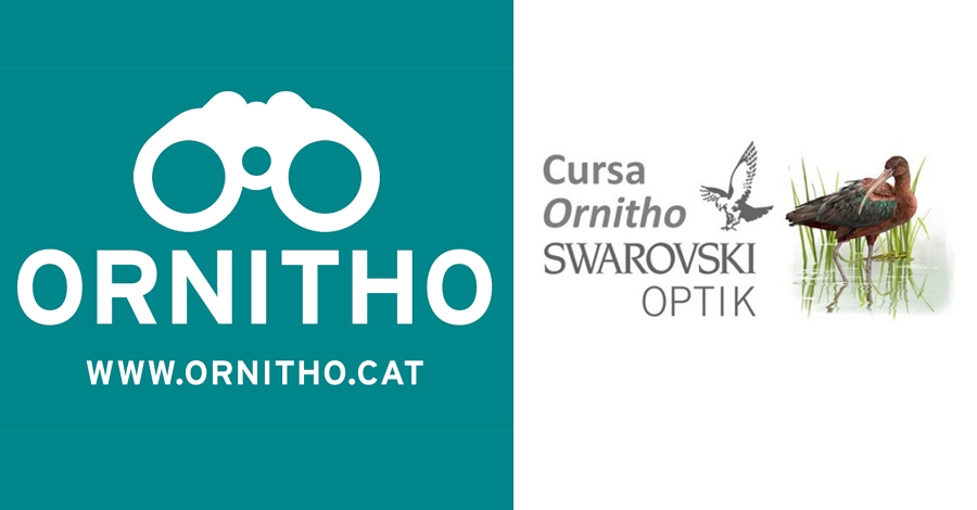 Un any ms torna la cursa Ornitho-Swarovski