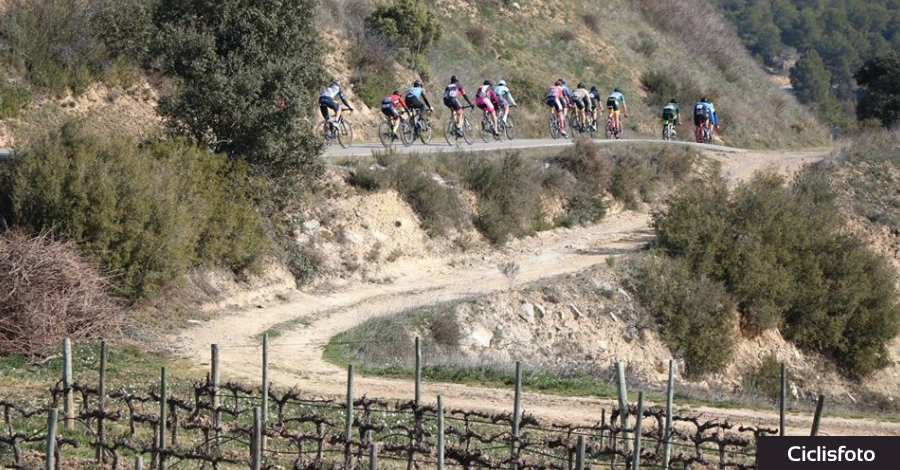 Albert Massana guanya la 1a Cursa Social Terra de Garnatxes | EbreActiu.cat, revista digital d&rsquo;oci actiu | Terres de l&rsquo;Ebre ...