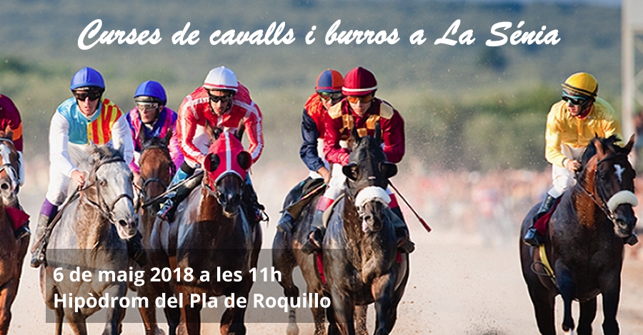 Curses de cavalls i burros a la Sénia Curses de cavalls i burros a la Sénia
