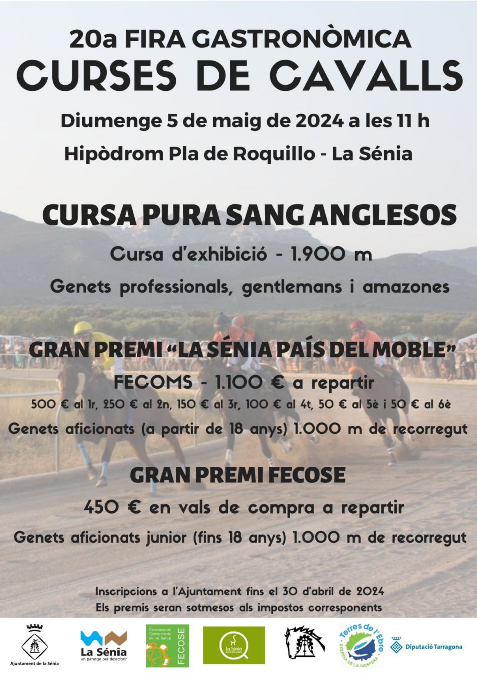 Curses de cavalls de la 20a Fira Gastron�mica de la S�nia