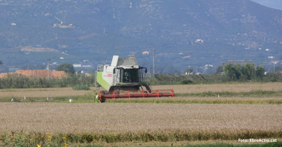 Prop de 2.500 ha darrs afectades per la tempesta daquest dimarts al Montsi