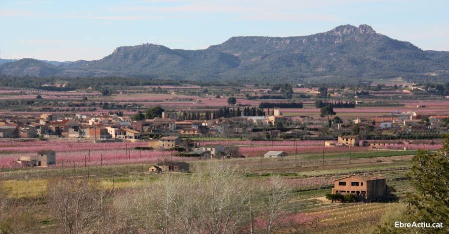 Darm�s es bolca per acollir diumenge la XVI Festa Comarcal de la Clotxa de la Ribera d&rsquo;Ebre | EbreActiu.cat, revista digital d&rsquo;oci actiu | Terres de l&rsquo;Ebre ...