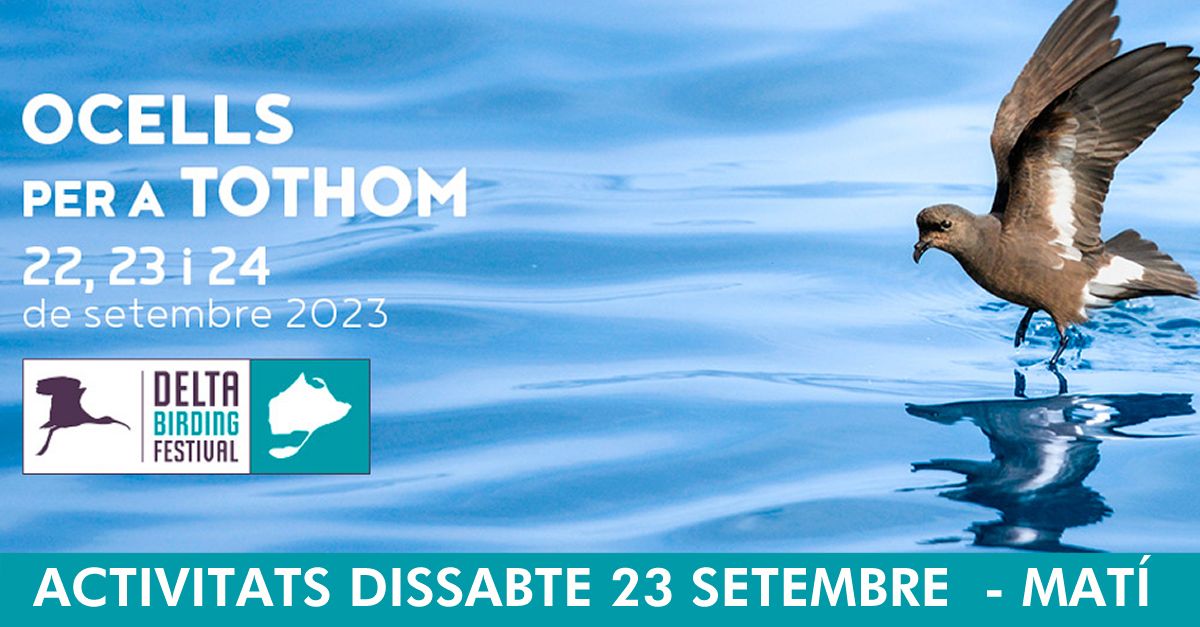 DELTA BIRDING FESTIVAL 2023 - Actividades s�bado ma�ana