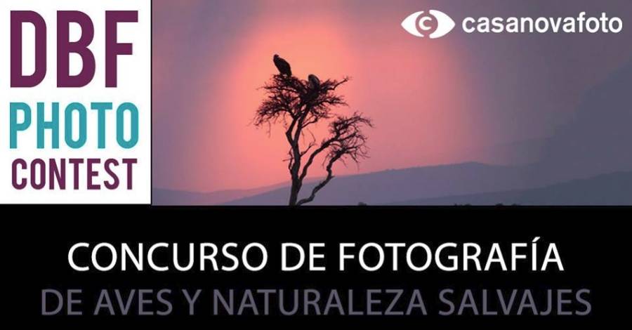 DBF PHOTO CONTEST - Concurso de fotograf�a