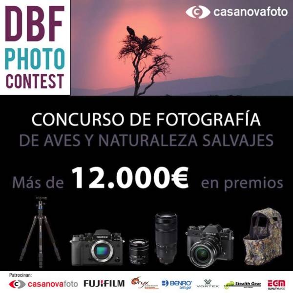 DBF PHOTO CONTEST - Concurs de fotografia