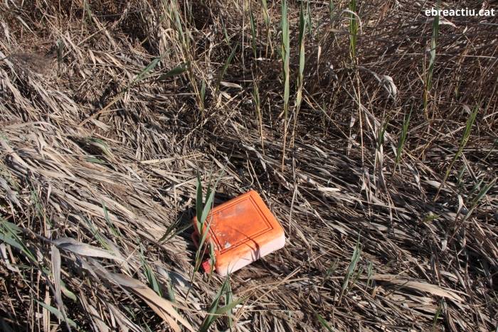 Comen�a la campanya �Per un Delta net�, per acabar amb les conductes inc�viques que embruten el litoral deltaic  | EbreActiu.cat, revista digital d&rsquo;oci actiu | Terres de l&rsquo;Ebre ...