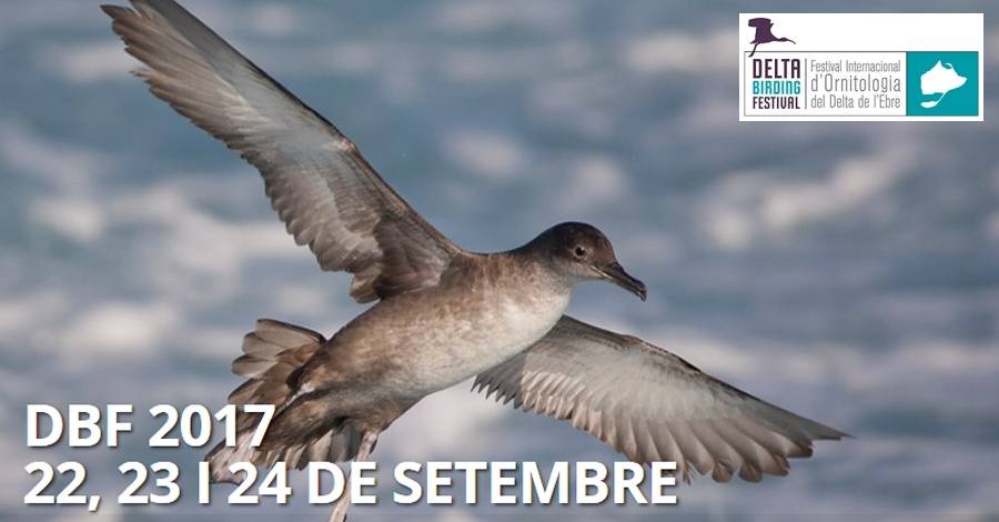 4� Delta Birding Festival