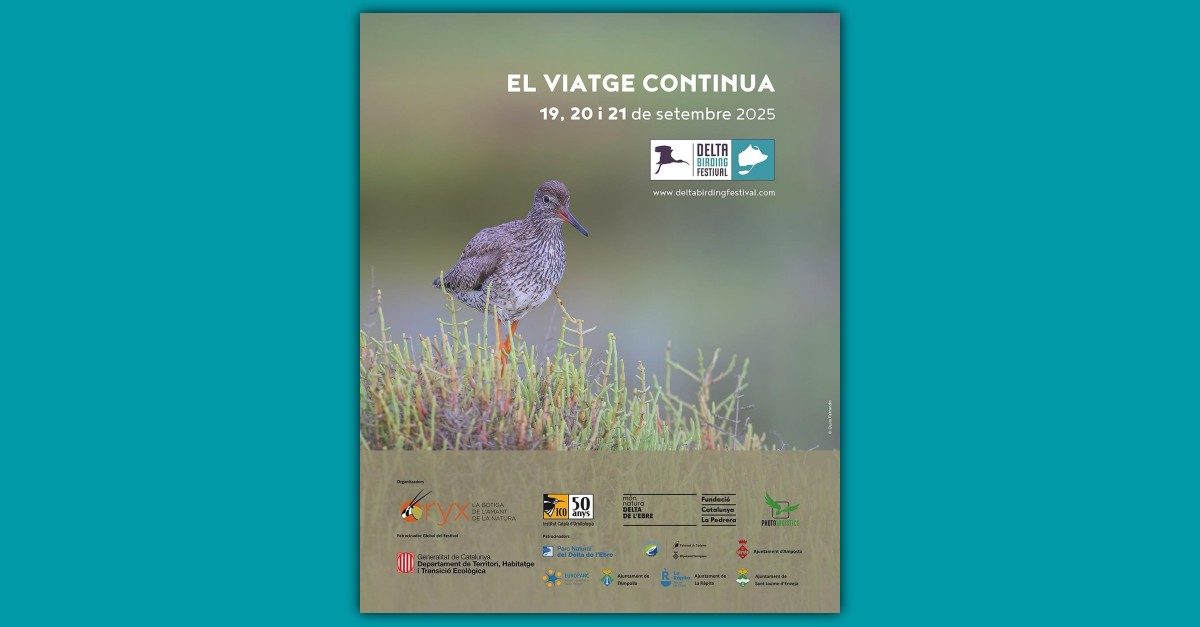 Delta Birding Festival 2025