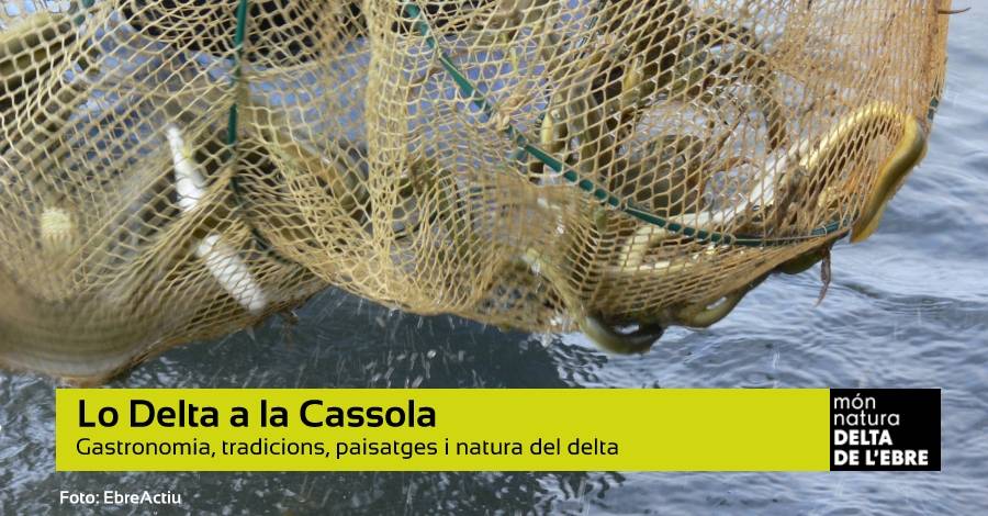 Lo Delta a la Cassola Lo Delta a la Cassola