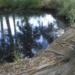 �lbum: delta de l&rsquo;Ebre