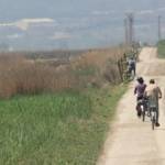 �lbum: delta de l&rsquo;Ebre