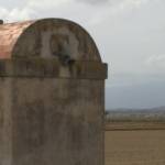 �lbum: delta de l&rsquo;Ebre