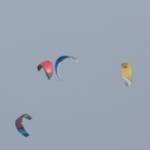 �lbum: delta de l&rsquo;Ebre