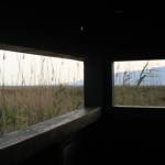 �lbum: delta de l&rsquo;Ebre