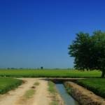 �lbum: delta de l&rsquo;Ebre