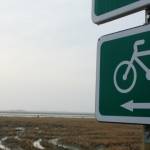 �lbum: delta de l&rsquo;Ebre