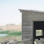 �lbum: delta de l&rsquo;Ebre