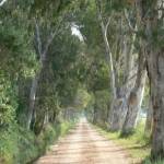 �lbum: delta de l&rsquo;Ebre