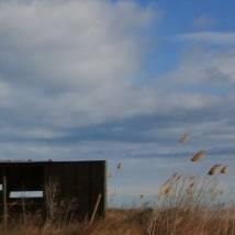 �lbum: delta de l&rsquo;Ebre