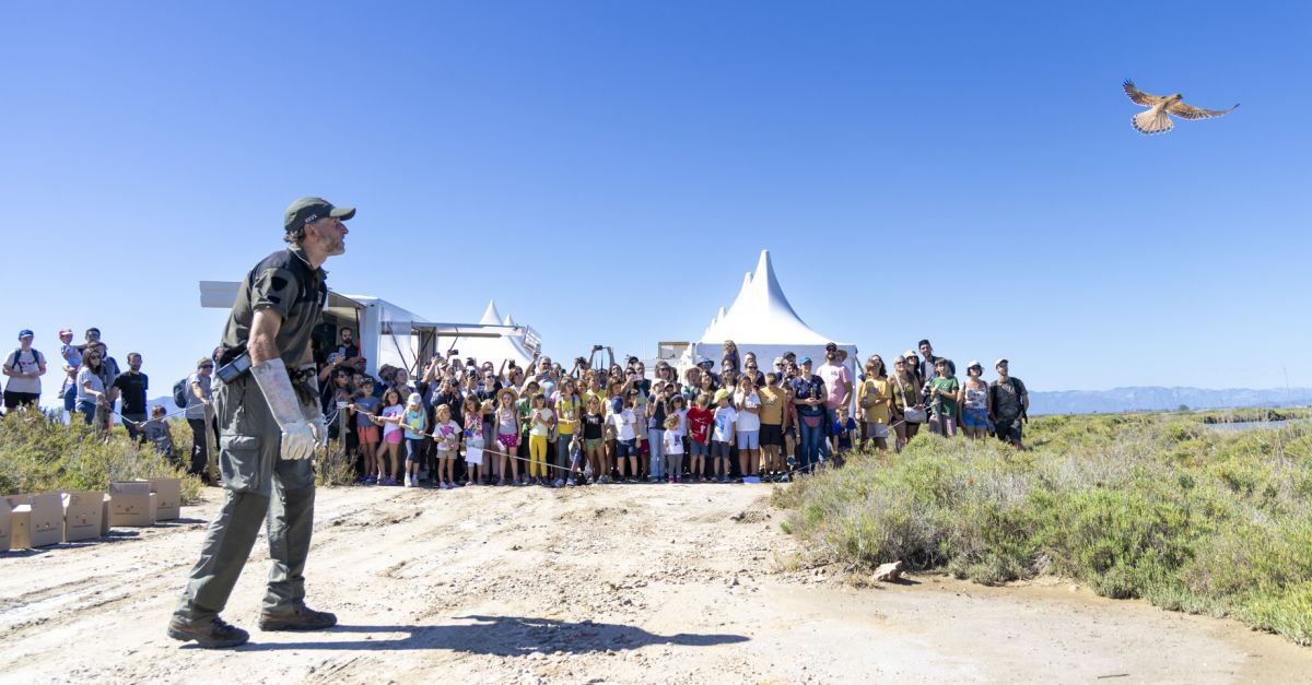 El Delta Birding Festival fa ple absolut a les activitats programades