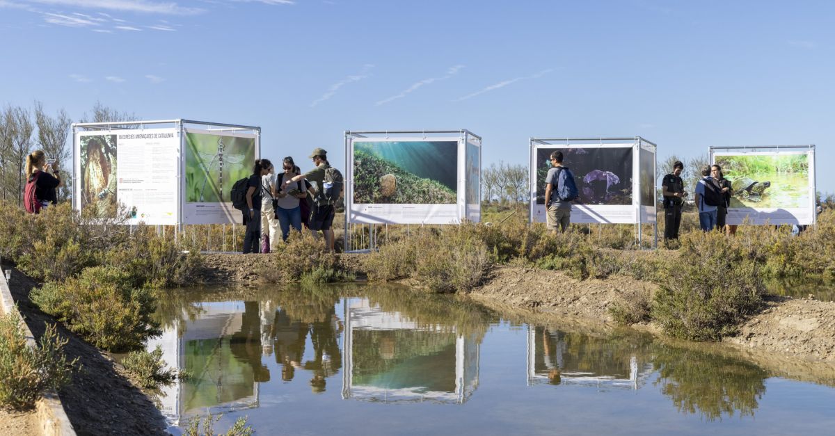 El Delta Birding Festival fa ple absolut a les activitats programades | EbreActiu.cat, revista digital d&rsquo;oci actiu | Terres de l&rsquo;Ebre ...
