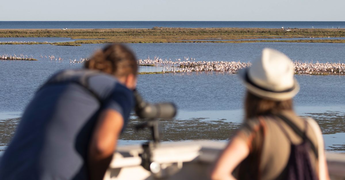 El Delta Birding Festival recibe 4.000 visitas