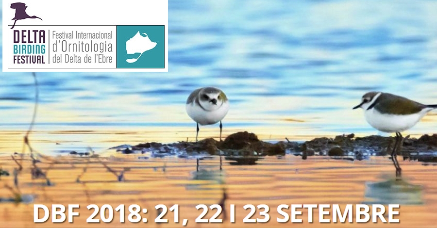 5� Delta Birding Festival 2018
