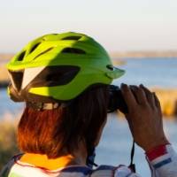 DELTACLETA. Alquiler de bicicletas el�ctricas en el Delta del Ebro