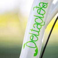 DELTACLETA. Lloguer de bicicletes el�ctriques al Delta de l&rsquo;Ebre