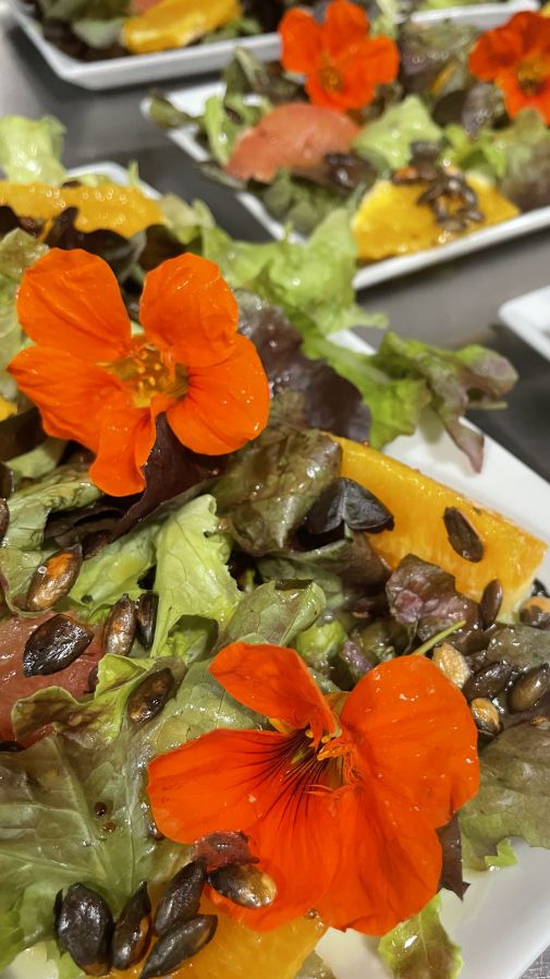 Deltaic, espacio gastronómico | EbreActiu.cat, revista digital de ocio activo | Terres de l’Ebre... Deltaic, espacio gastronómico | EbreActiu.cat, revista digital de ocio activo | Terres de l’Ebre...