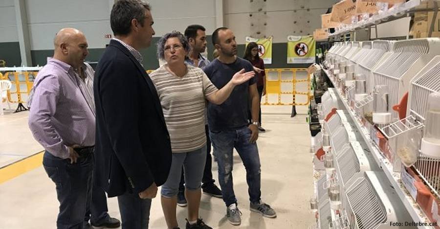 Deltebre acull el 44 campionat ornitolgic de Catalunya
