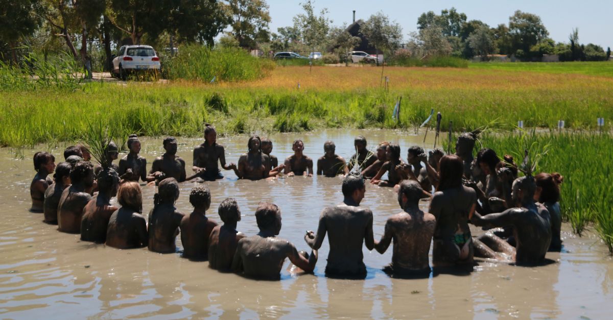 El Deltebre Dansa recupera la improvisaci als arrossars desprs de la pandmia per fusionar territori i art | EbreActiu.cat, revista digital d’oci actiu | Terres de l’Ebre ...