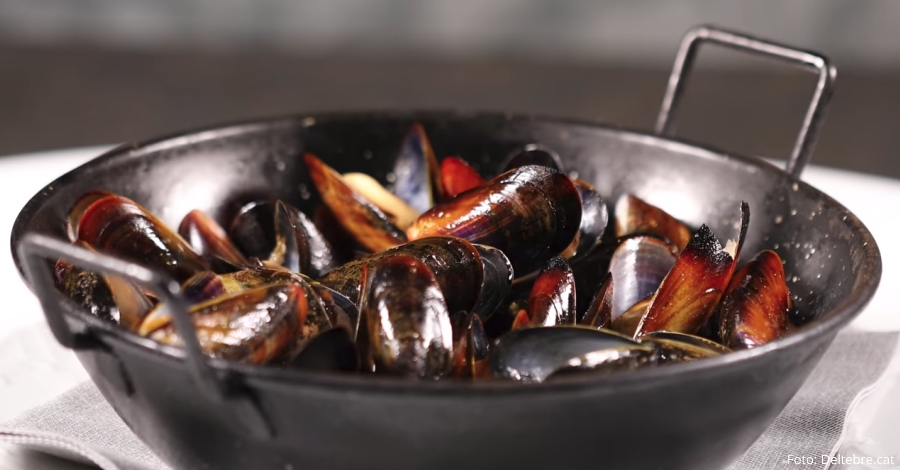 Turisme | Deltebre promociona la seua cuina a la Fira Madrid Fusión | EbreActiu.cat, revista digital d’oci actiu | Terres de l’Ebre ... Turisme | Deltebre promociona la seua cuina a la Fira Madrid Fusión | EbreActiu.cat, revista digital d’oci actiu | Terres de l’Ebre ...