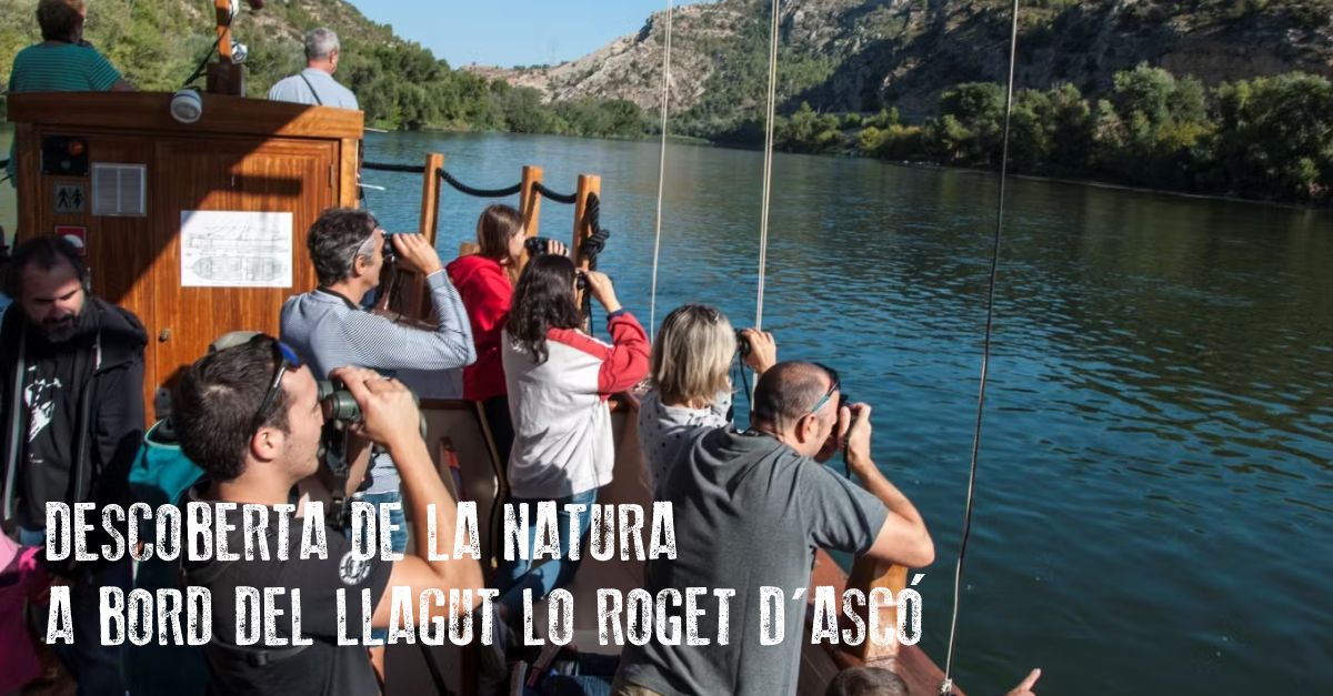 Descubierta de naturaleza a bordo del laud Lo Roget Descubierta de naturaleza a bordo del laud Lo Roget