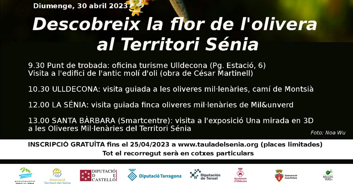 Descubre la flor del olivo en el Territorio S�nia (APLAZADO AL 14 DE MAYO)