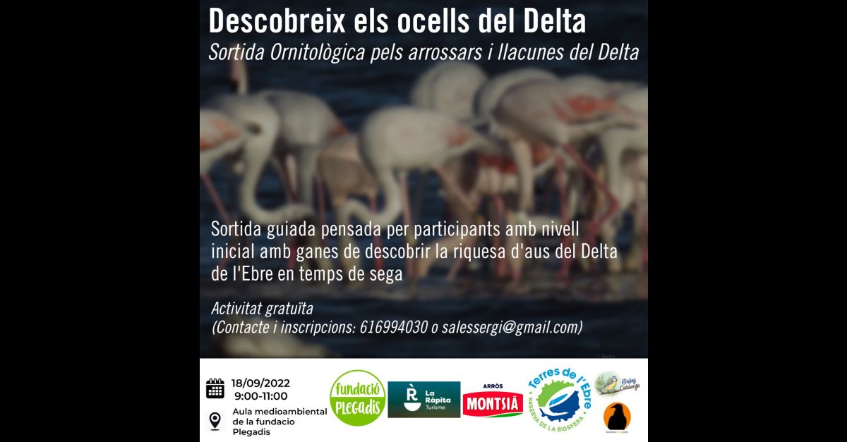Salida ornitol�gica por los arrozales y lagunas del Delta
