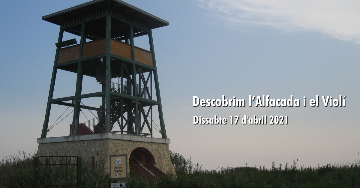 Descobrim l�Alfacada i el Viol�
