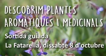 Sortida guiada: «Descobrim plantes aromàtiques i medicinals» Sortida guiada: «Descobrim plantes aromàtiques i medicinals»