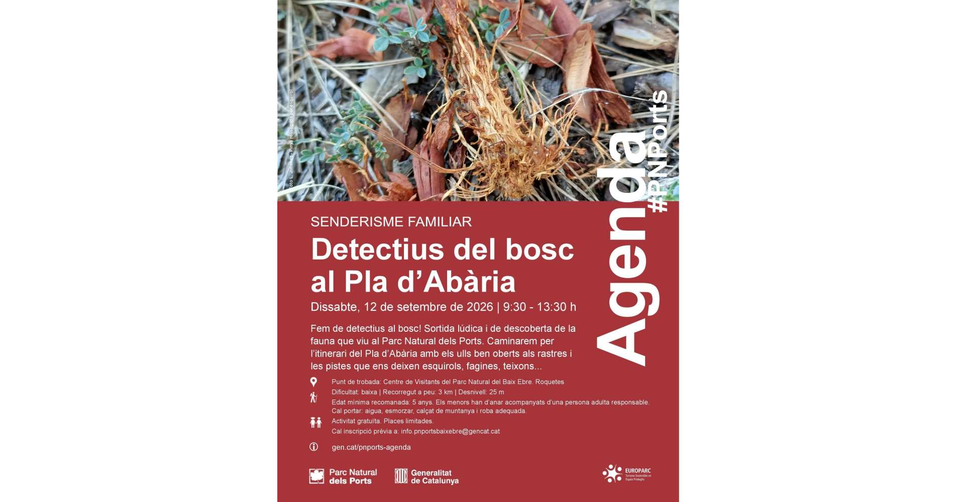 Senderismo familiar. detectives del bosque en el Pla d�Ab�ria