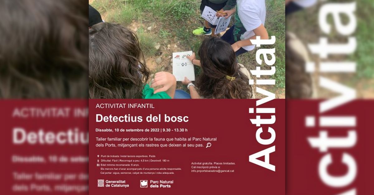 Detectius del bosc Detectius del bosc