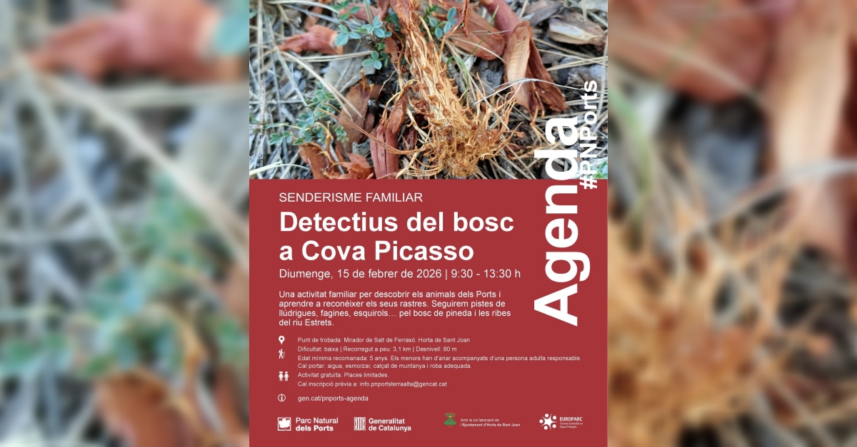 Detectius del bosc a Cova Picasso