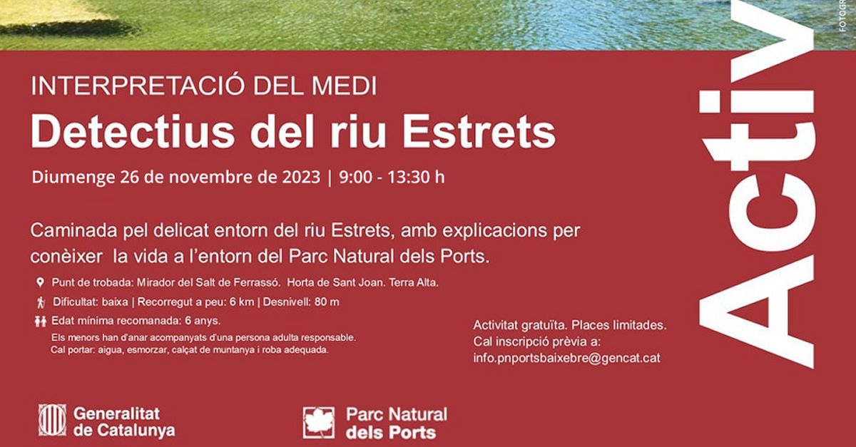 Detectives del r�o Estrets