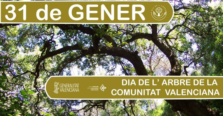 Dia de l�arbre a la Comunitat Valenciana