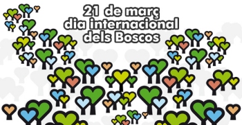 Dia Internacional dels Boscos