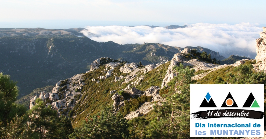 Día internacional de las Montañas Día internacional de las Montañas