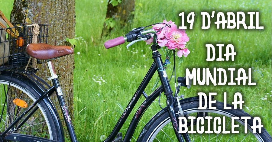 Dia Mundial de la Bicicleta Dia Mundial de la Bicicleta